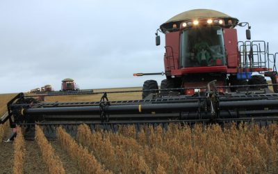 Tempo mais quente e seco preocupa produtores de soja, diz AgRural