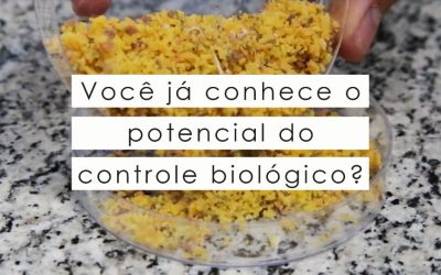 Você já conhece o potencial do controle biológico?