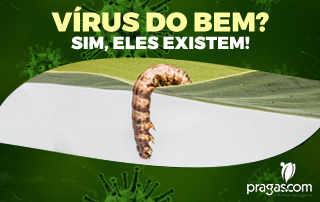 Vírus do bem? Sim, eles existem!